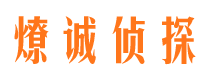 松阳市私家调查